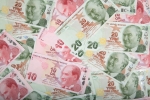 Die türkische Lira verliert immer mehr an Wert